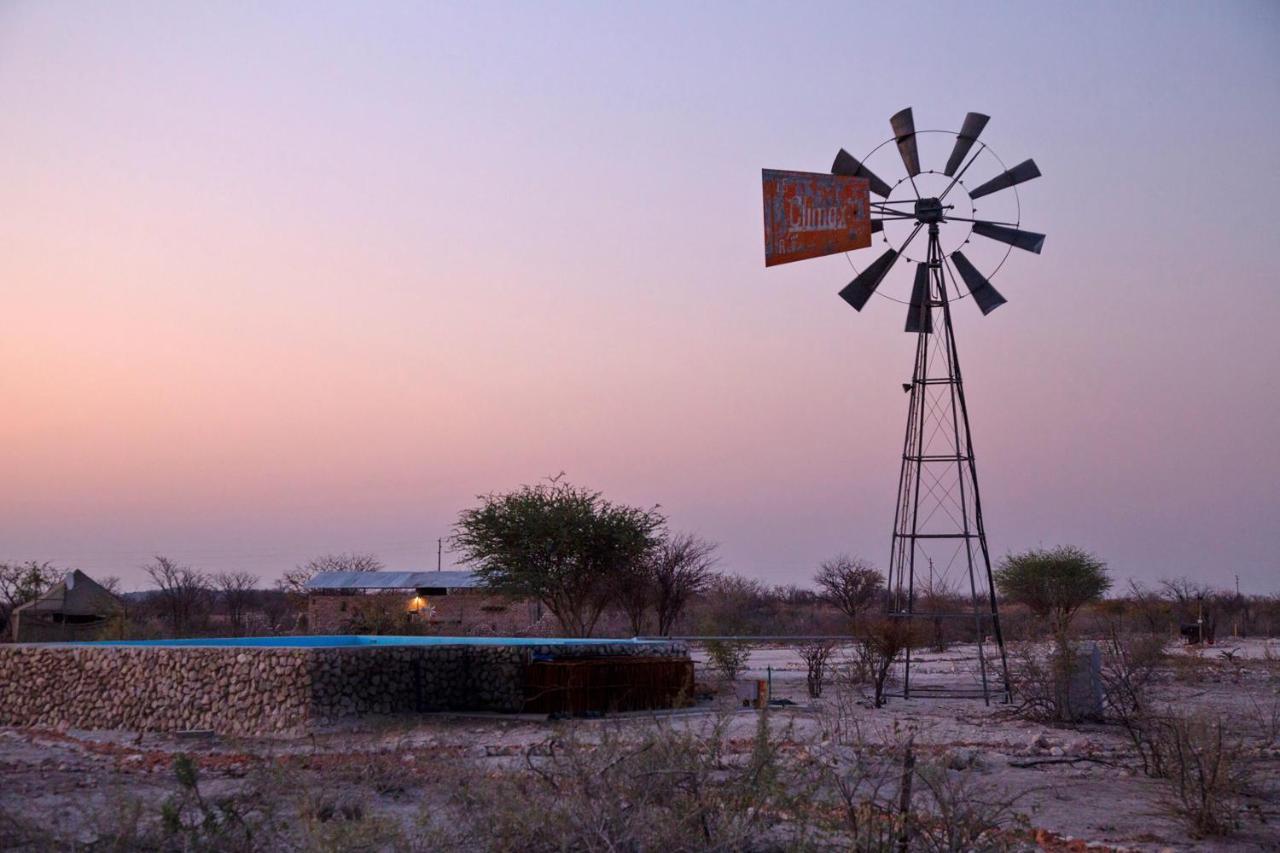 אוקאוקוג'ו Etosha Trading Post Campsite מראה חיצוני תמונה