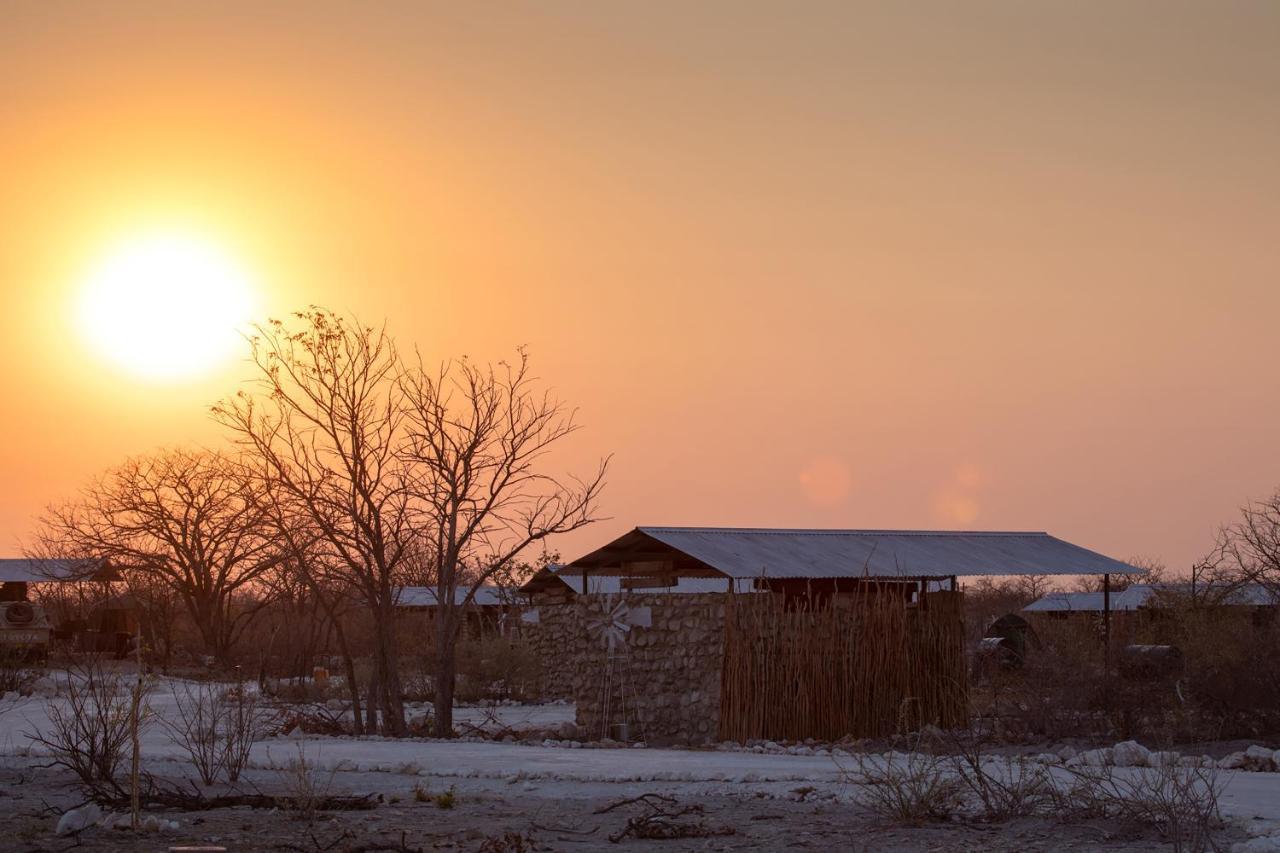 אוקאוקוג'ו Etosha Trading Post Campsite מראה חיצוני תמונה